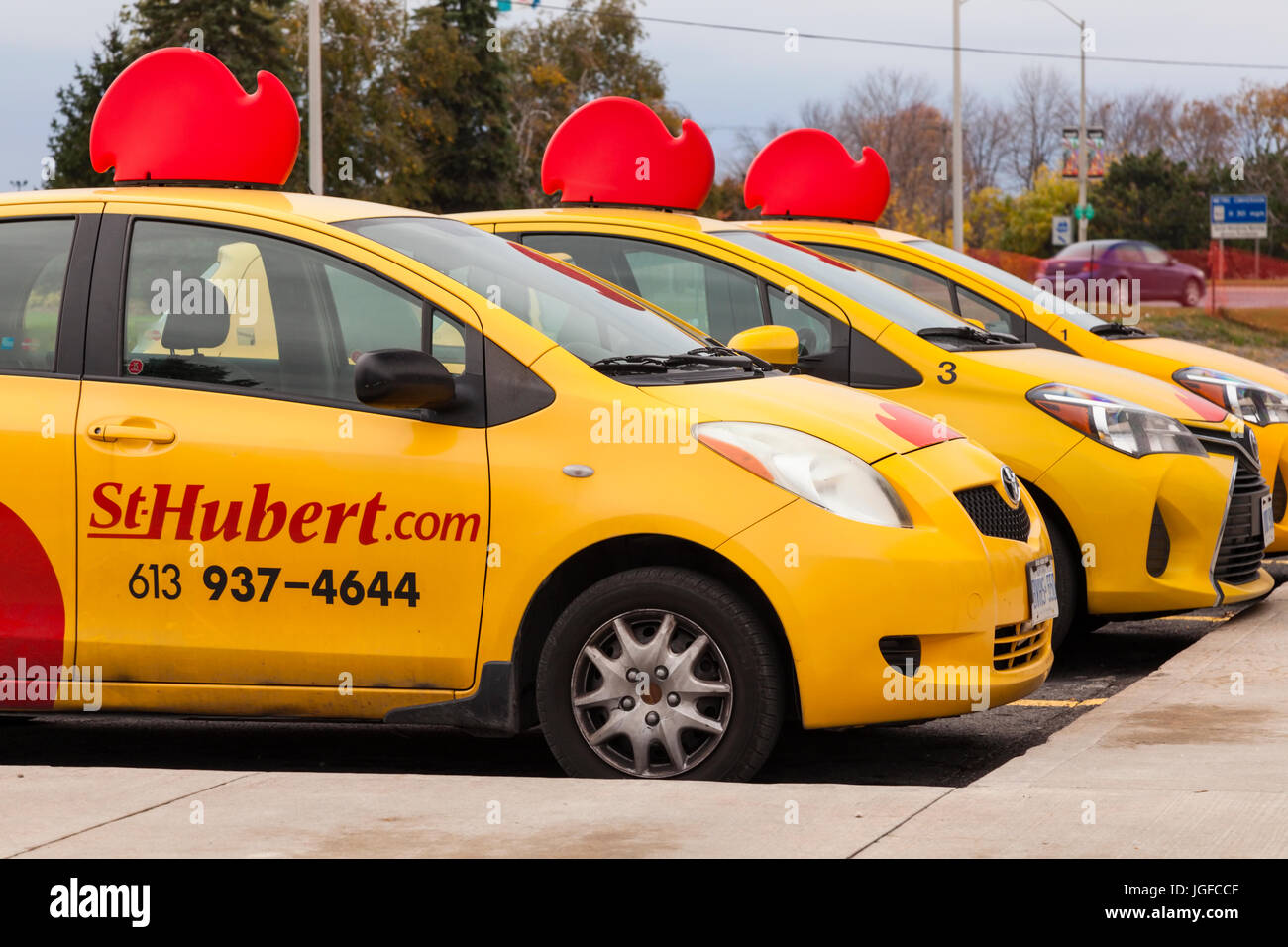 St hubert hires stock photography and images Alamy