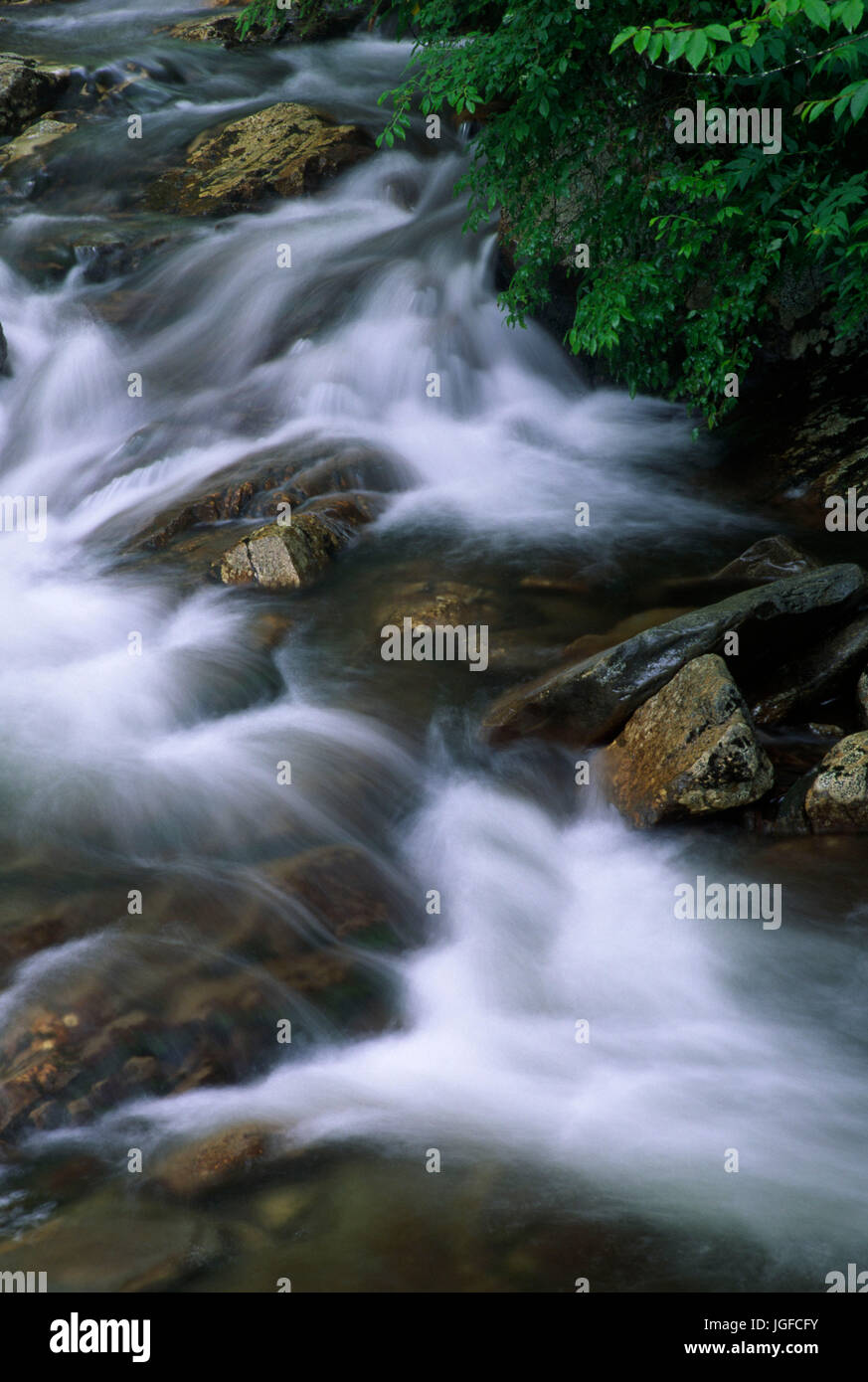 North Prong Little Pigeon River, Great Smoky Mountains National Park, Tennessee Stock Photo