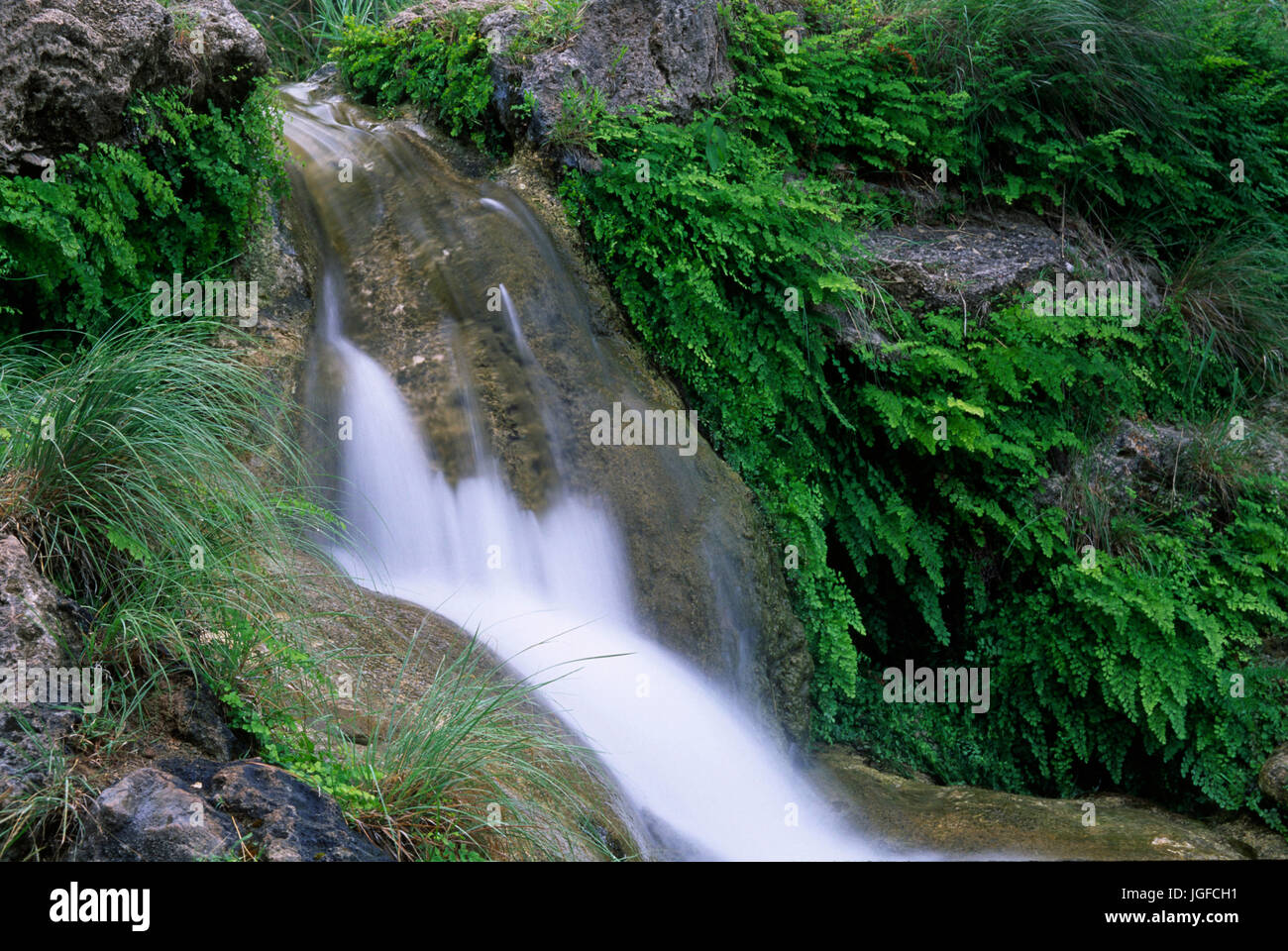 Falls along Spice Wood Springs Trail, Colorado Bend State Park, Texas