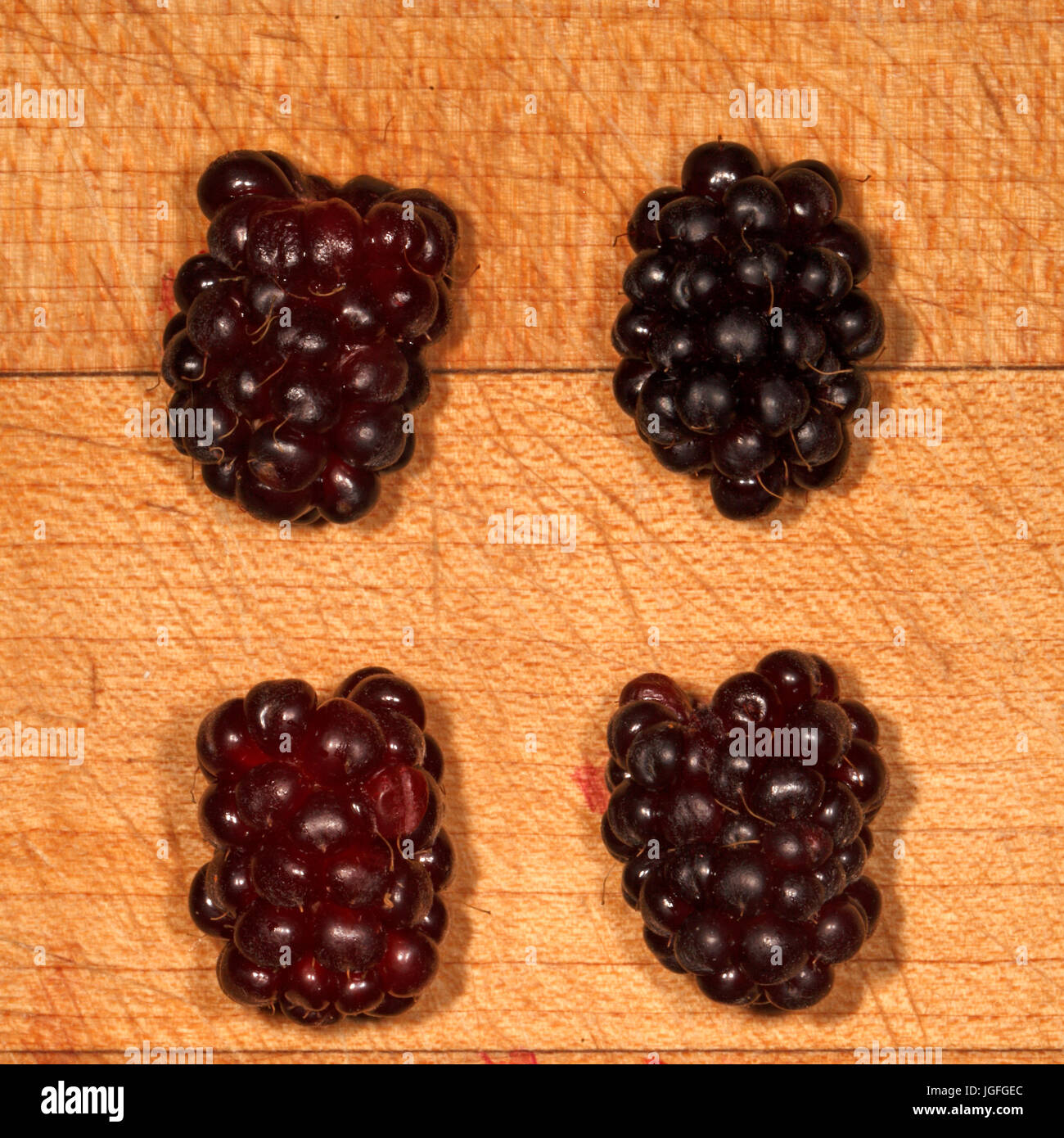 Soft fruit. Hybrid berry, Boysenberry. Mixture of a blackberry and a raspberry. Rubus. Stock Photo