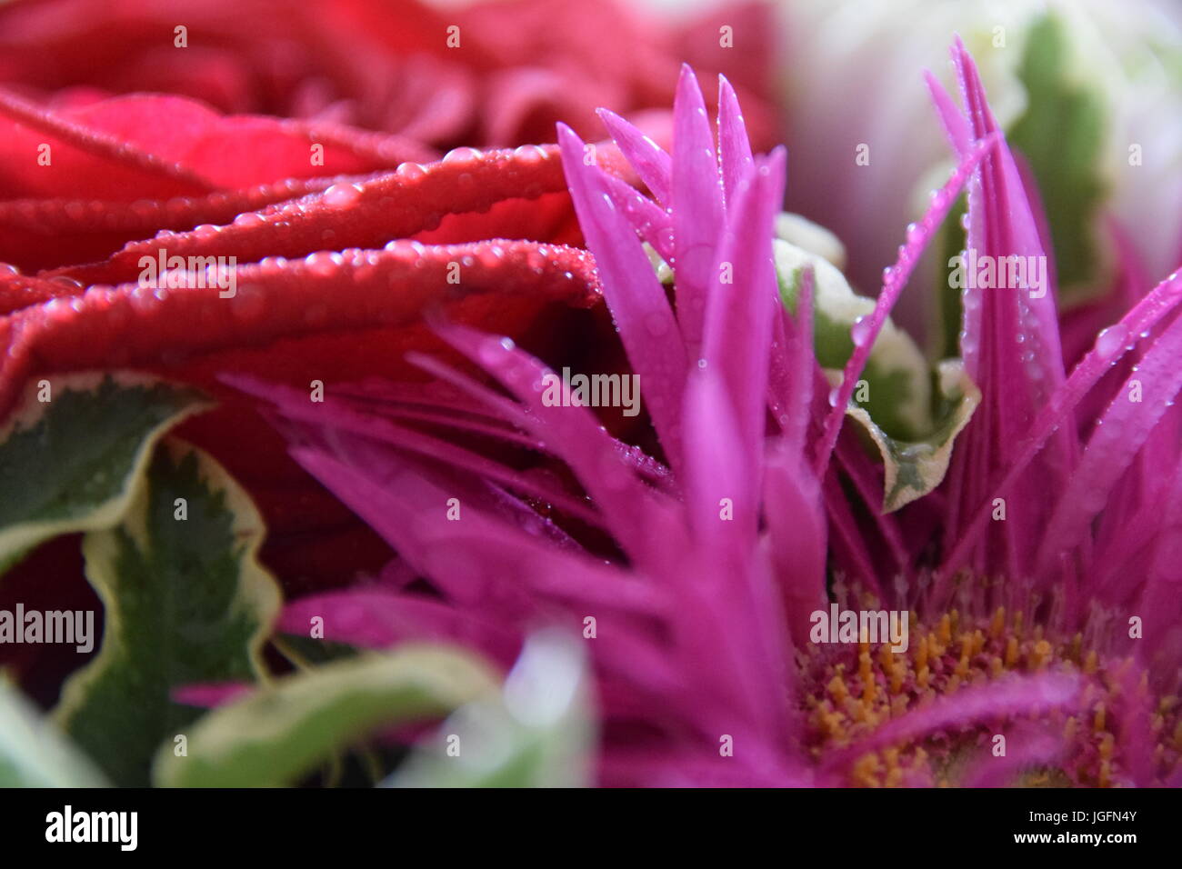 Blumenbouquet hi-res stock photography and images - Alamy