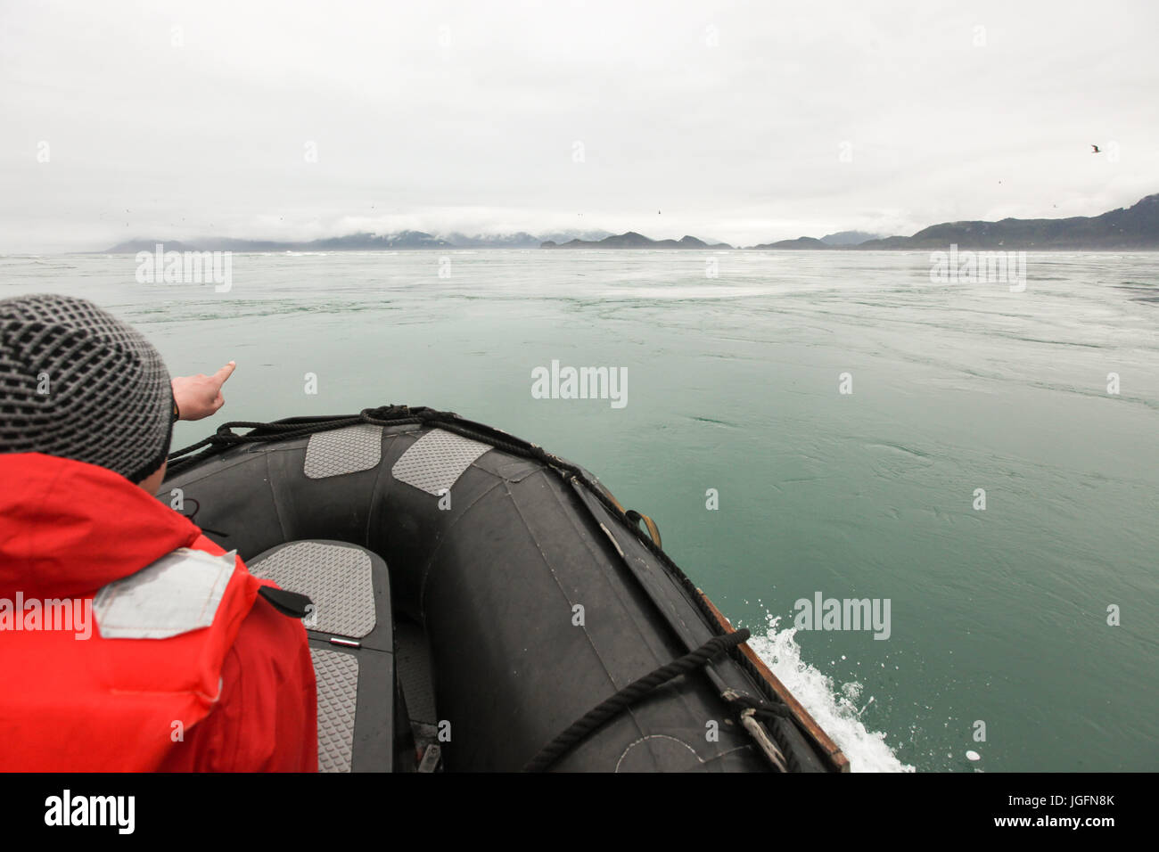 A passenger in a Zodiak boat looks at and points toward the landscape ahead of him. Stock Photo