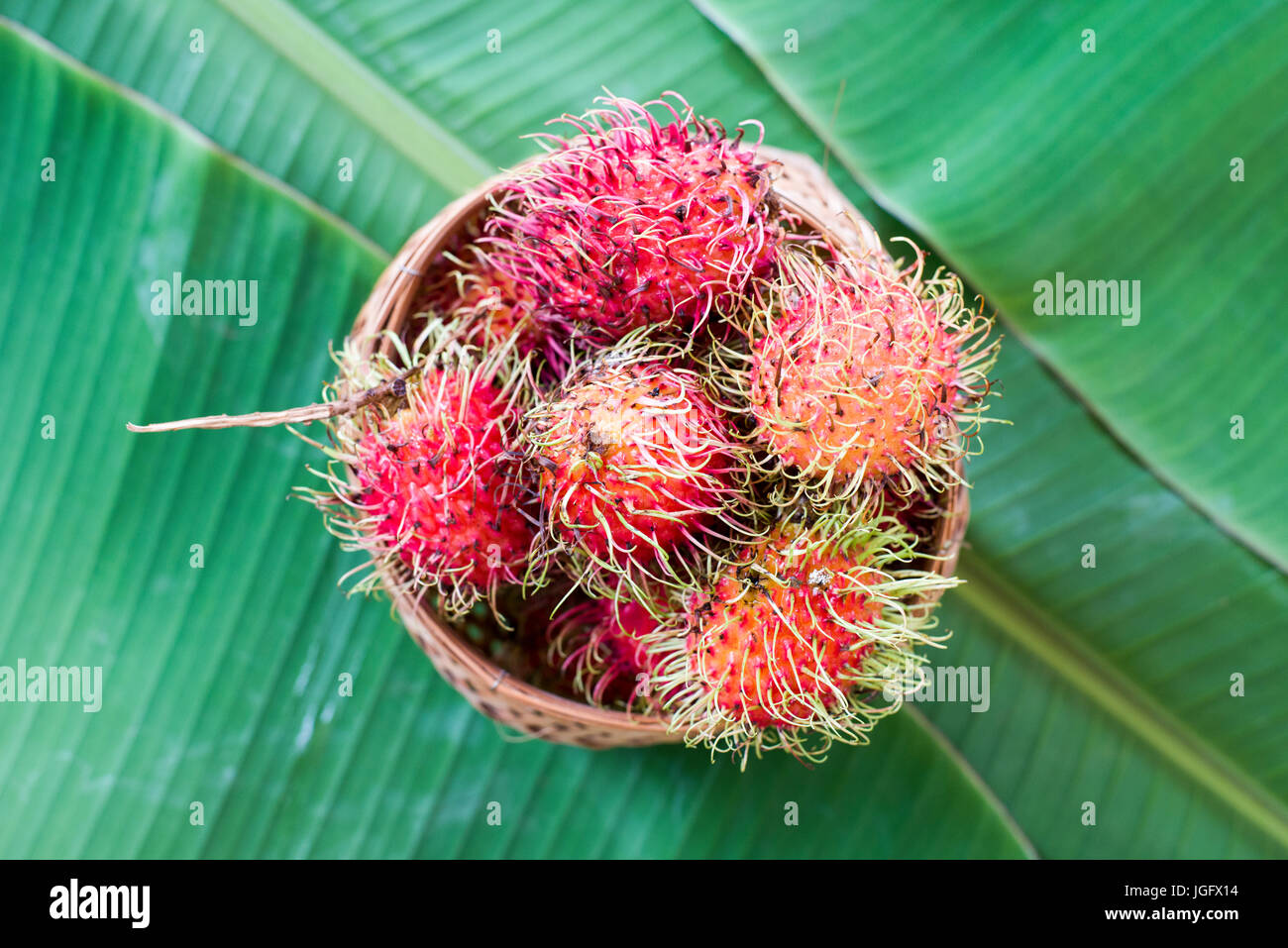 How to grow rambutan hi-res stock photography and images - Alamy