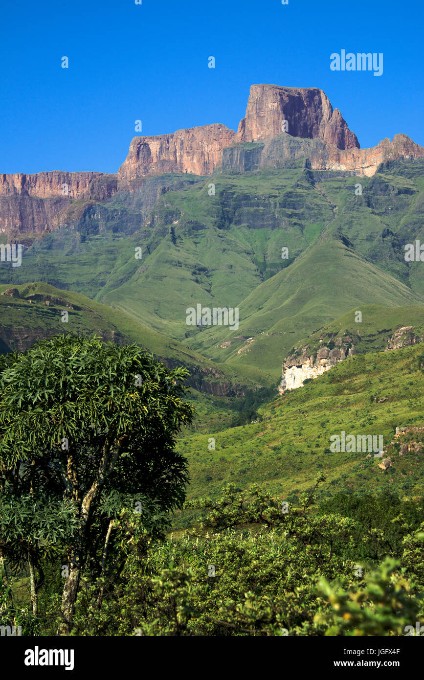 Sentinel Peak Thendele Royal Natal Park  uKahlamba Drakensberg Park, KwaZulu-Natal, South Africa Stock Photo
