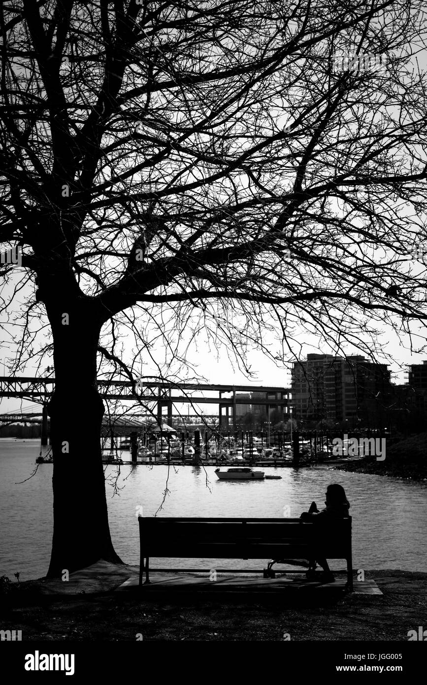 Beautiful forest lake sunny Black and White Stock Photos & Images - Alamy