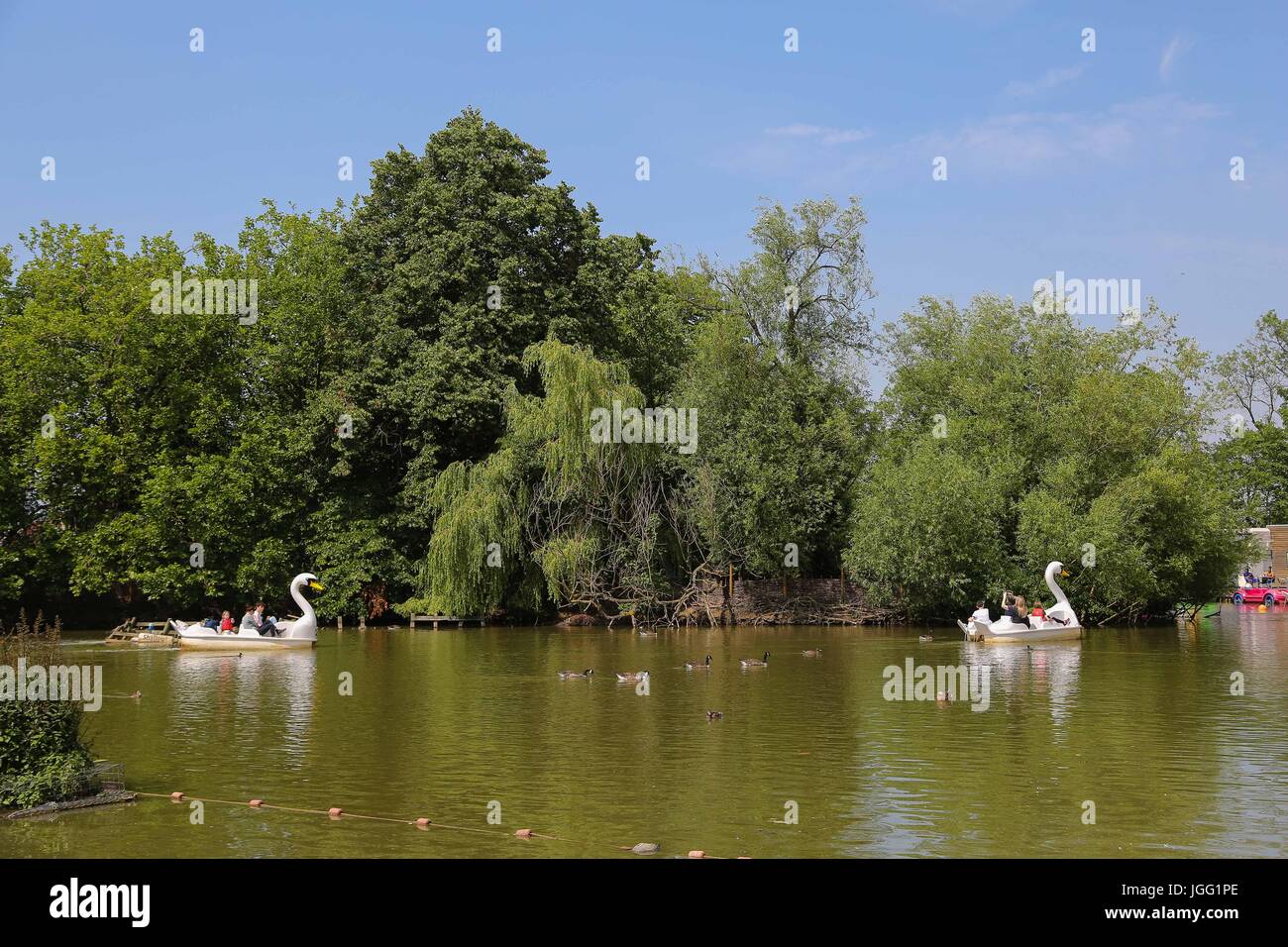 Alexandra Palace. London, UK. 6th July, 2017. People enjoying a dragon boat ride in the boating lake at Alexandra Palace in North London on a hot and humid afternoon in the capital as the temperature reaches 28 degrees celsius Credit: Dinendra Haria/Alamy Live News Stock Photo