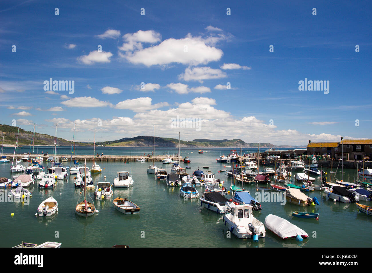 Harbour at Lyme Regis with many boats of different types with views towards Charmouth of the Dorset coast. Stock Photo