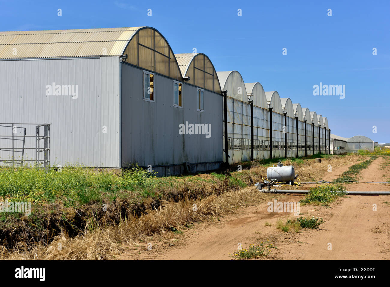 Rows of commercial agricultural greenhouses Stock Photo