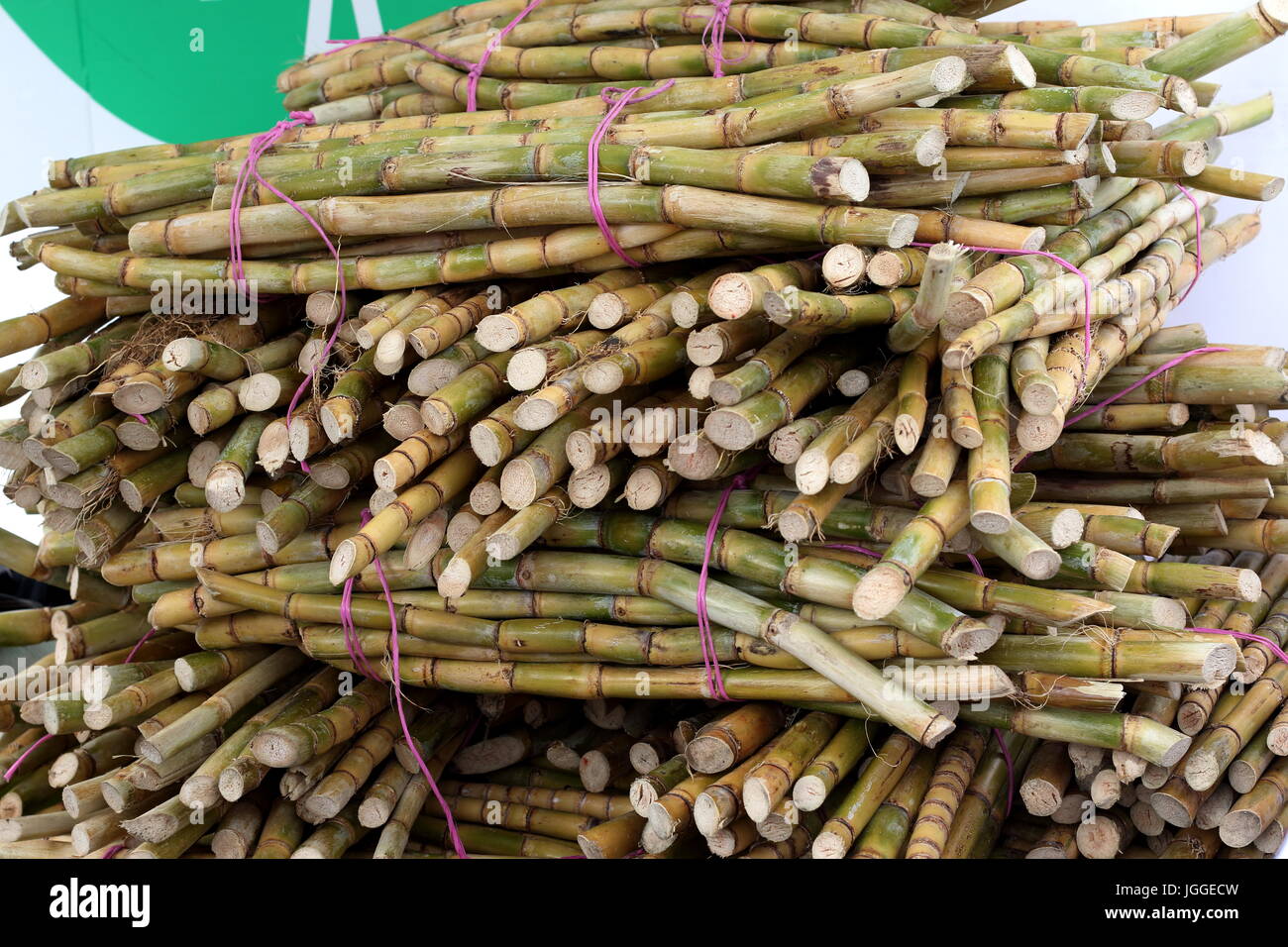 Sugarcane Harvest Stock Photos & Sugarcane Harvest Stock Images Alamy