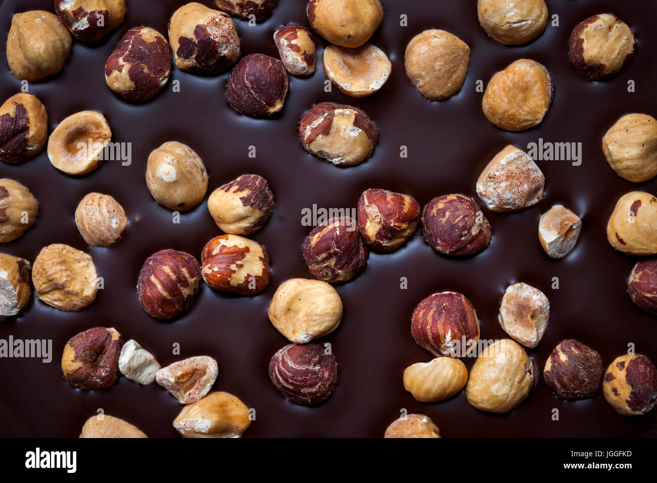 Artisanal dark chocolate bar with whole hazelnuts as background, closeup. Stock Photo