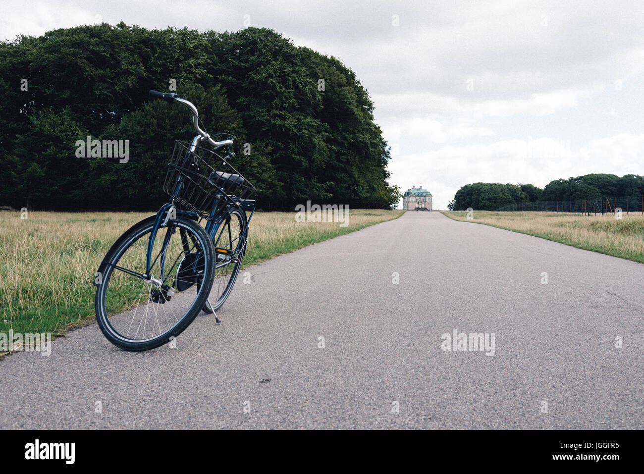 Bicycle in a country road in the park Stock Photo - Alamy
