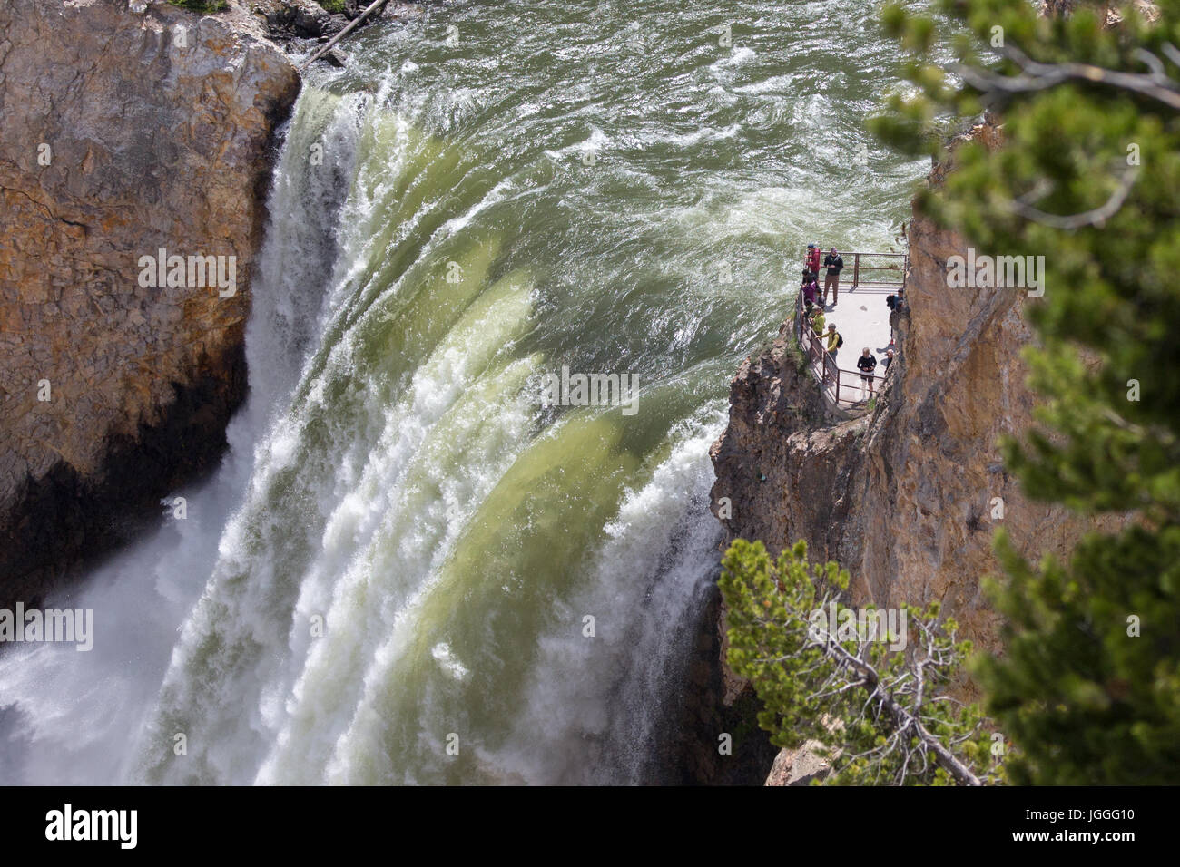 Closeup of people standing on the observation platform of the brink of the Lower Falls overlook