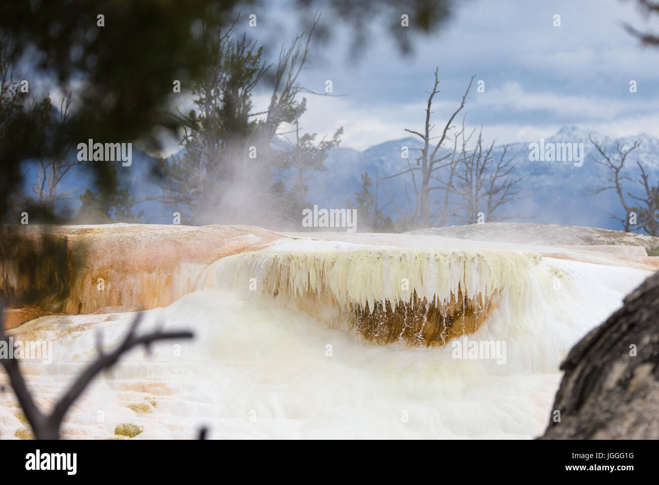 Detail of White Elephant Back Terrace, Mammoth Hot Springs, Yellowstone National Park Stock Photo