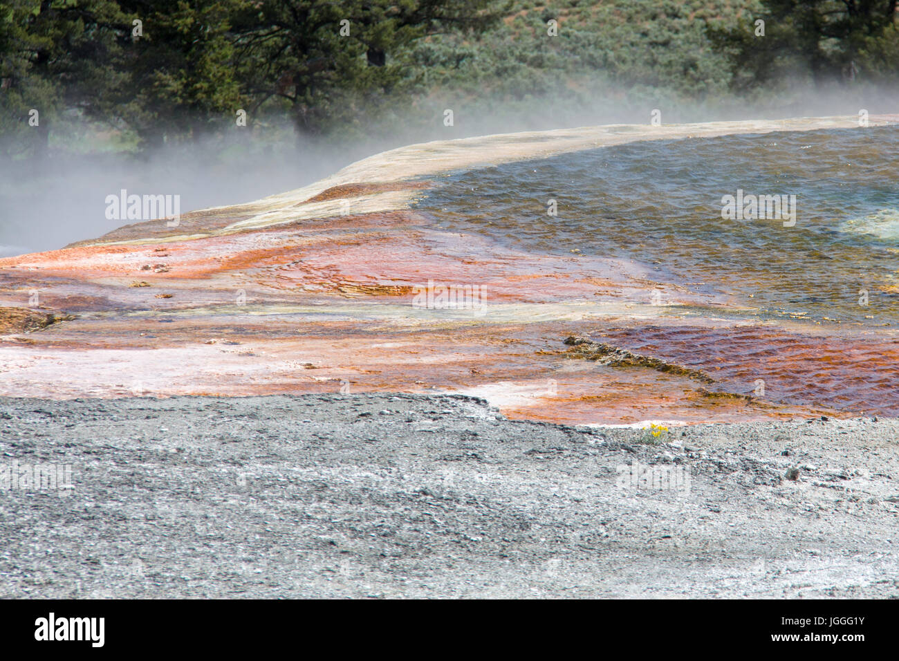 Detail of the top of Palette Spring, Mammoth Hot Springs, Yellowstone Stock Photo