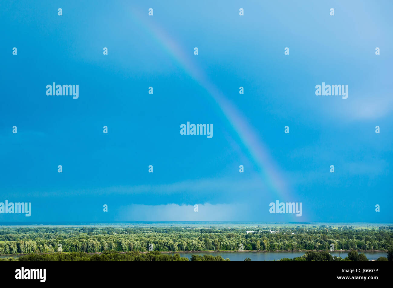 Realistic rainbow on blue sky over the green trees in the forest. Stock Photo