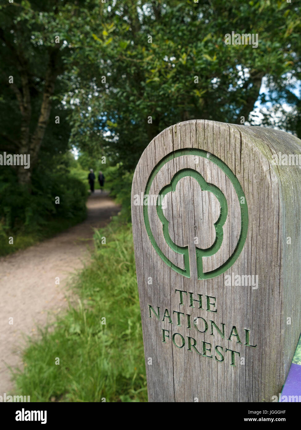 Wooden sign and distant walkers on woodland footpath on The National Forest Way, Derbyshire, England, UK Stock Photo
