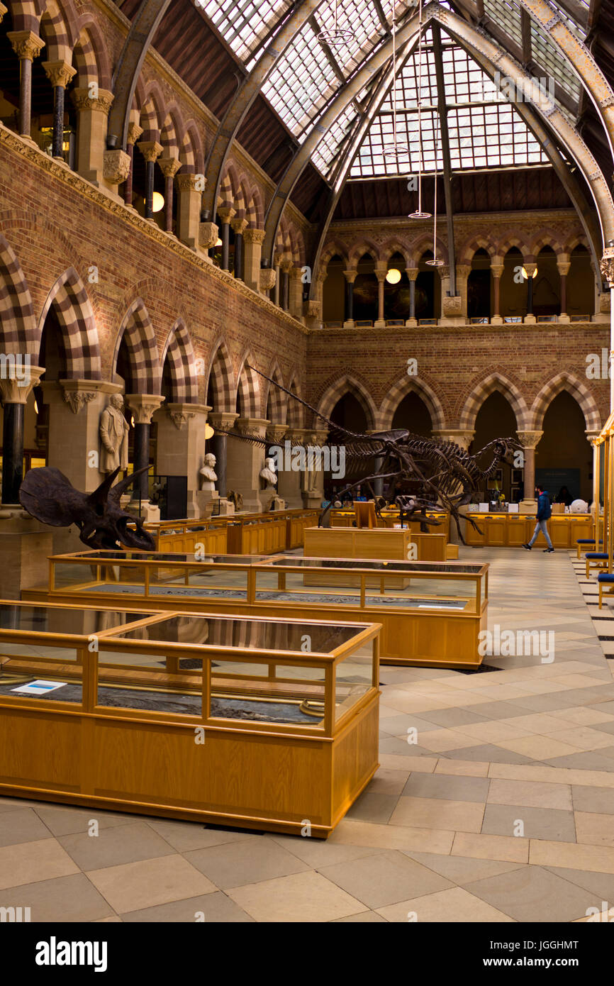 Oxford Museum of Natural History,Mankind,Geology,Zoology,Oxford,Grat Britain Stock Photo