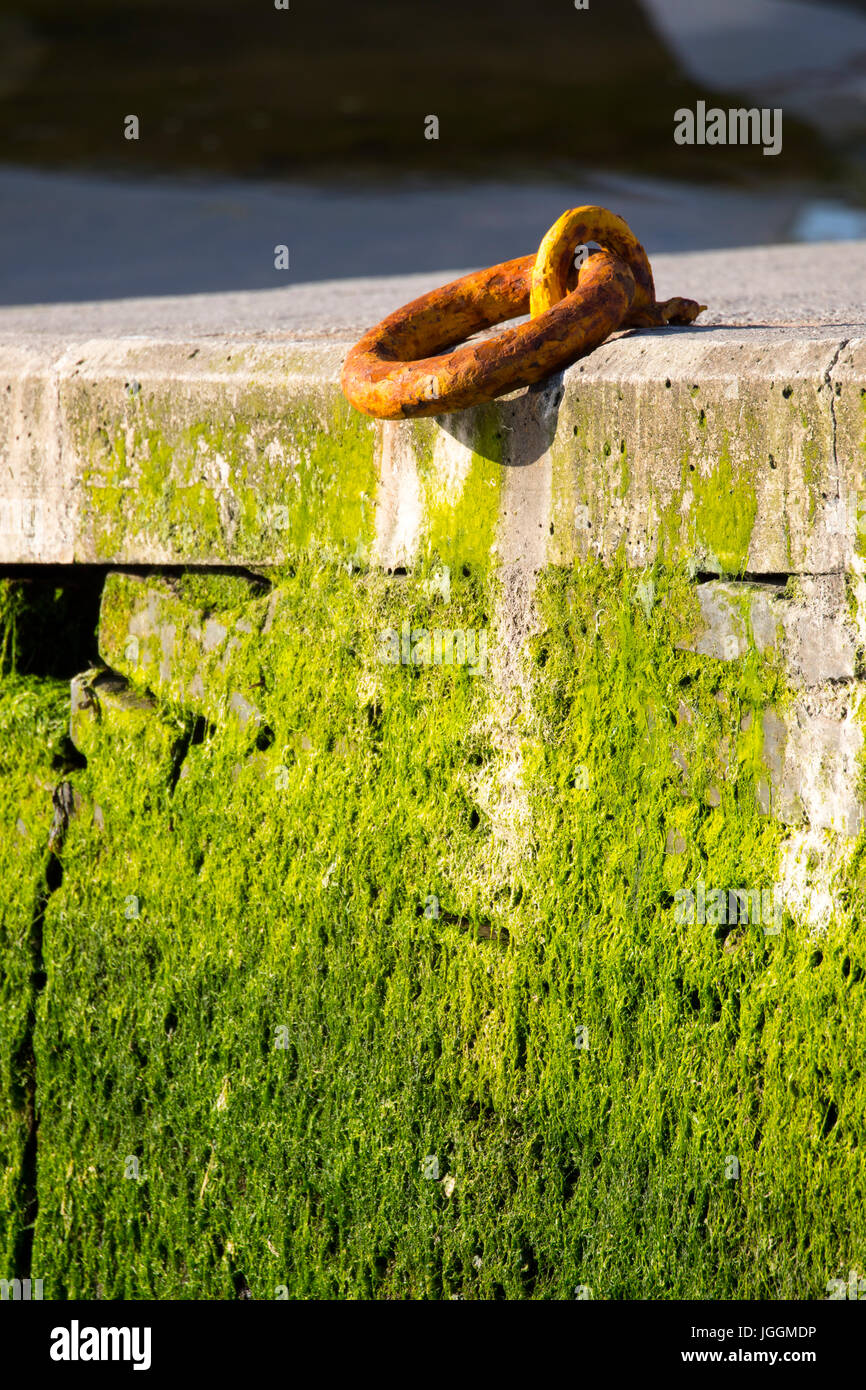Old rusty harbour wall anchor point with lush green seaweed at the
