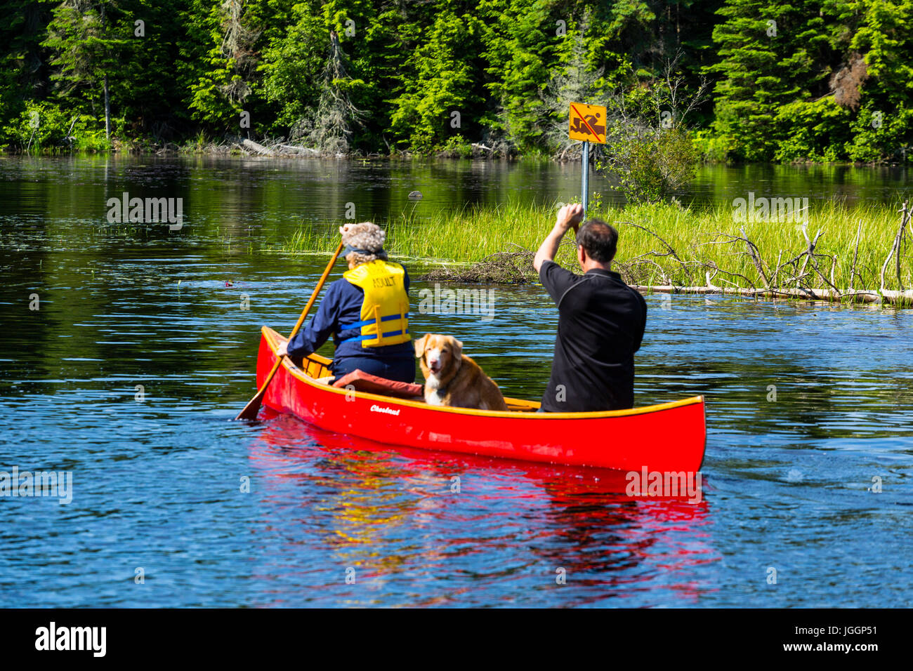 Algonquin Provincial Park Ontario Canada. Canoeing on Lake of Two Rivers Stock Photo
