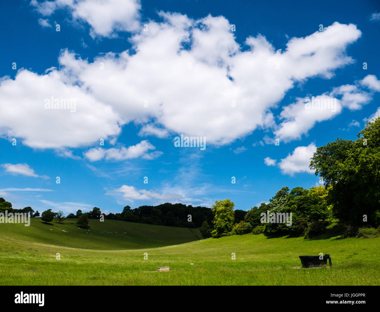 Chillerton Hills, AONB, Oxfordshire, England Stock Photo