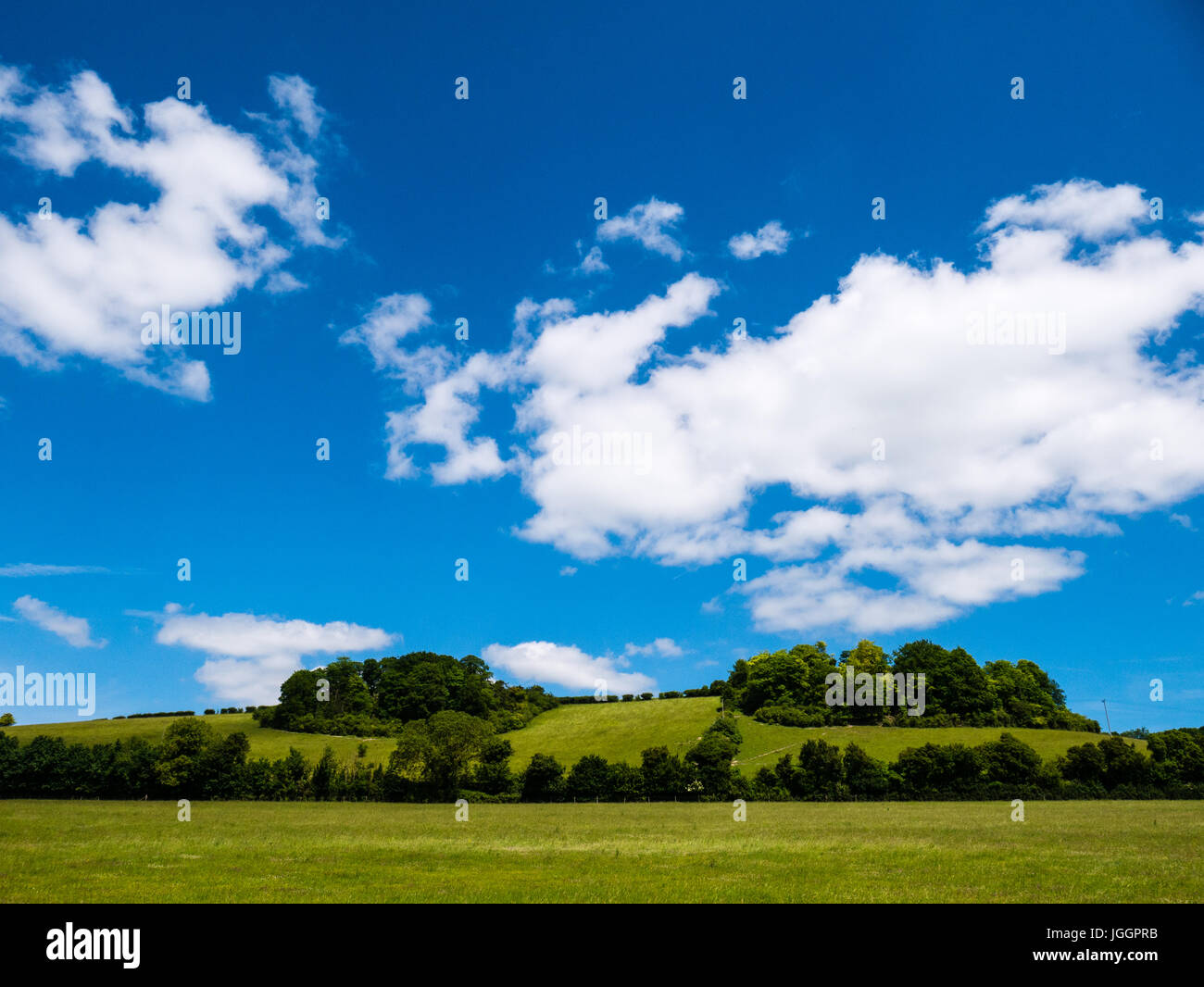 Chillerton Hills, AONB, Oxfordshire, England, UK, GB. Stock Photo