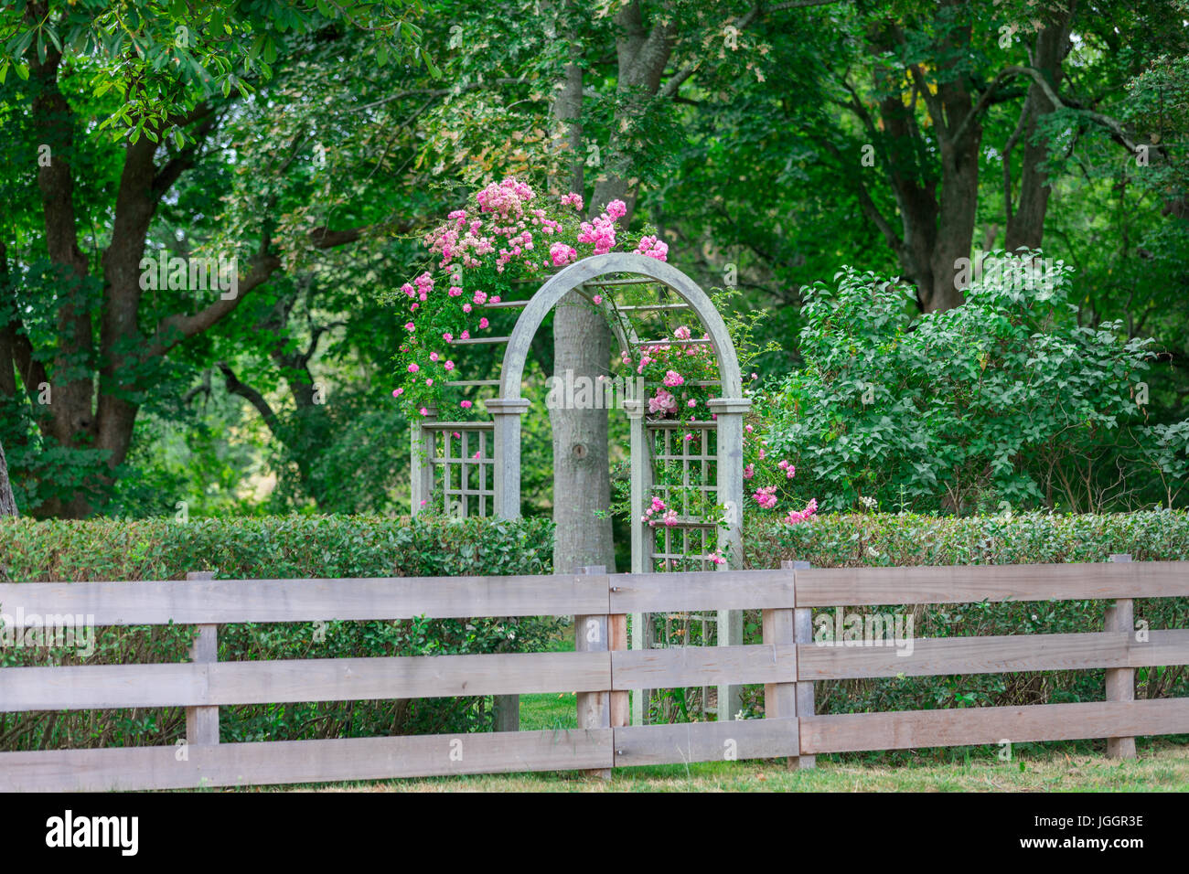 a simple wooden fence with rose covered arbor on a Watermill estate in Watermill, ny Stock Photo