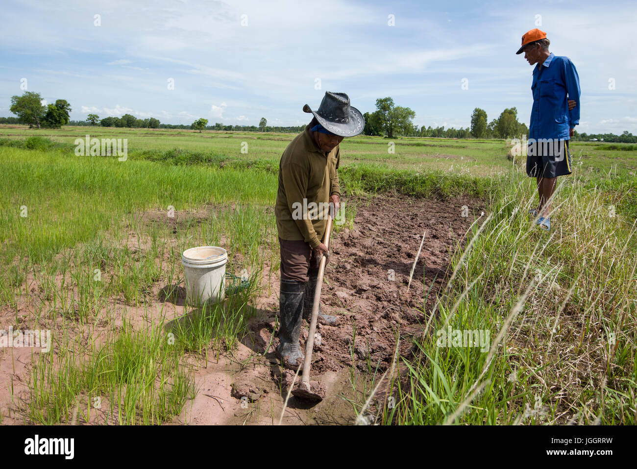 Farmin in Thailand Stock Photo - Alamy