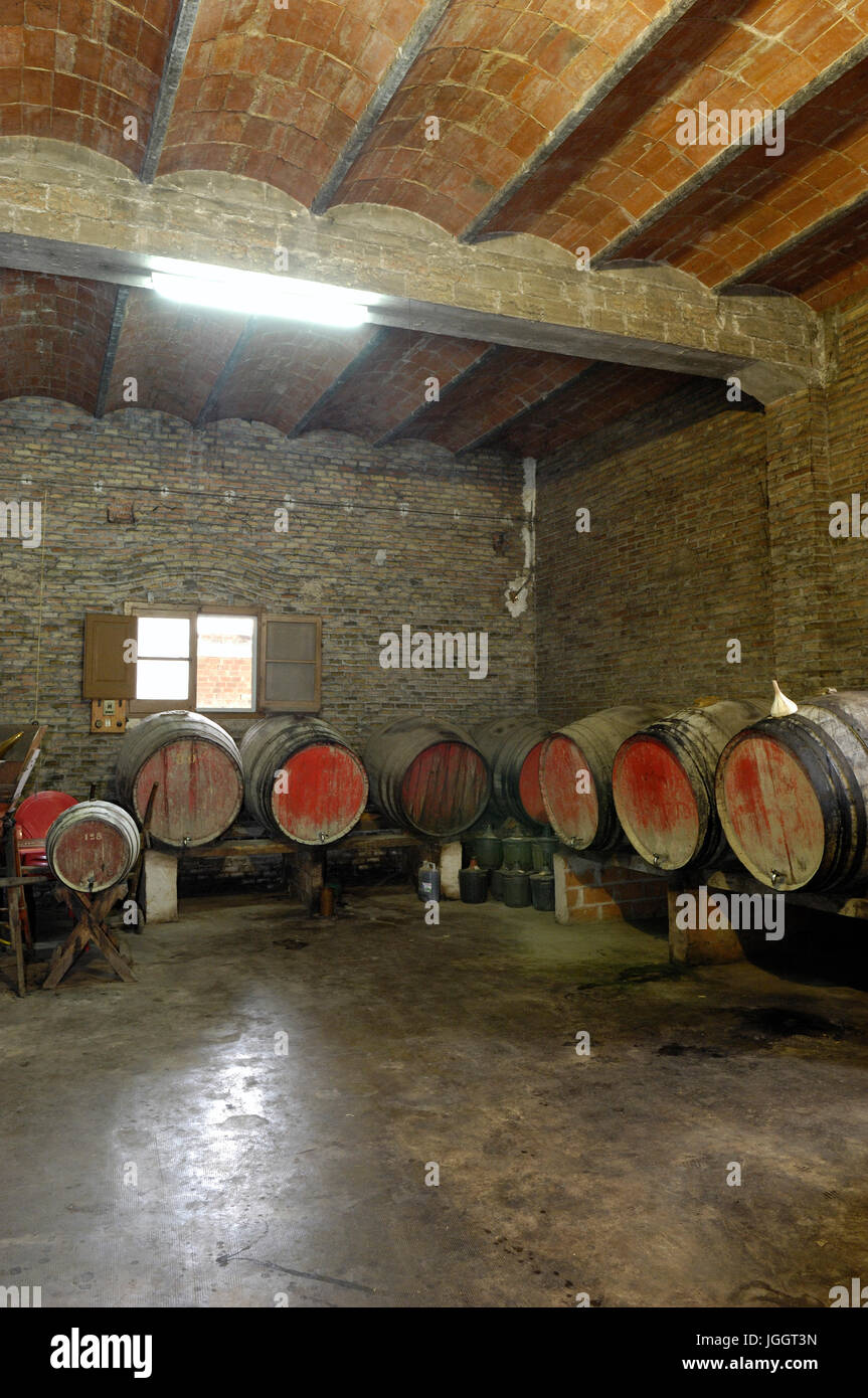 old wine cellar Stock Photo Alamy