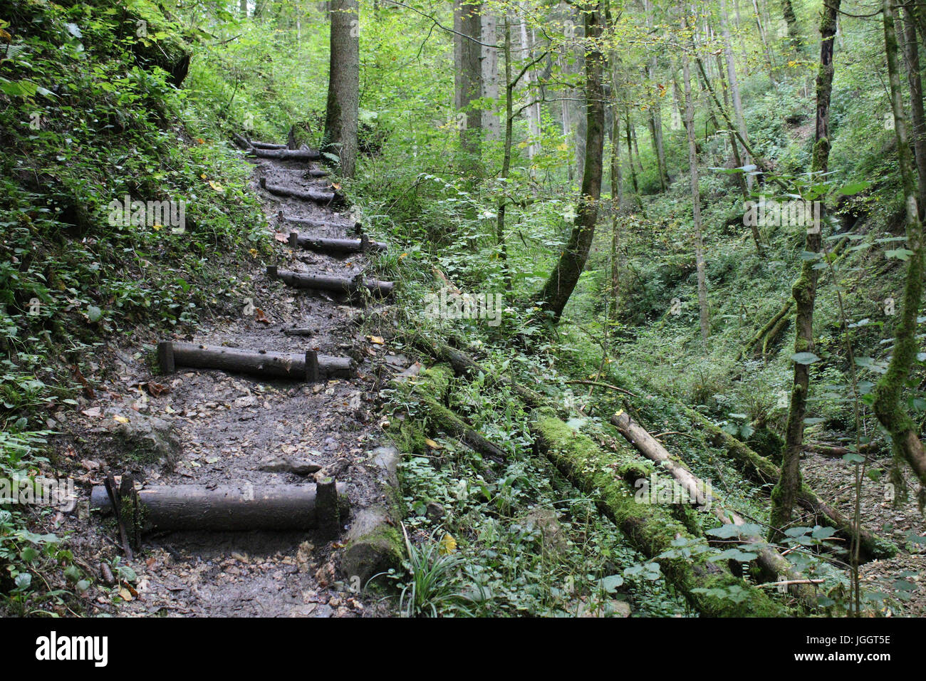 Black Forest hiking trail through the Wutachschlucht, Germany Stock