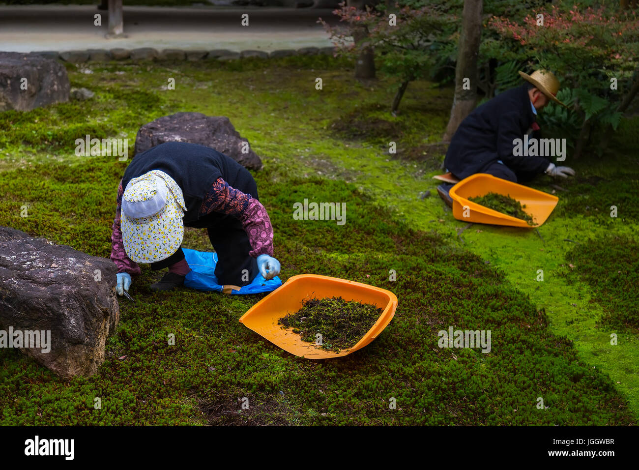 Japanese zen gardener hi-res stock photography and images - Alamy