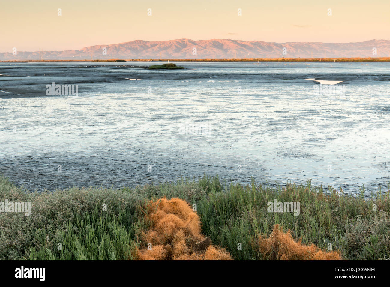 Mudflats of San Francisco Bay with Diablo Range in the background. Stock Photo