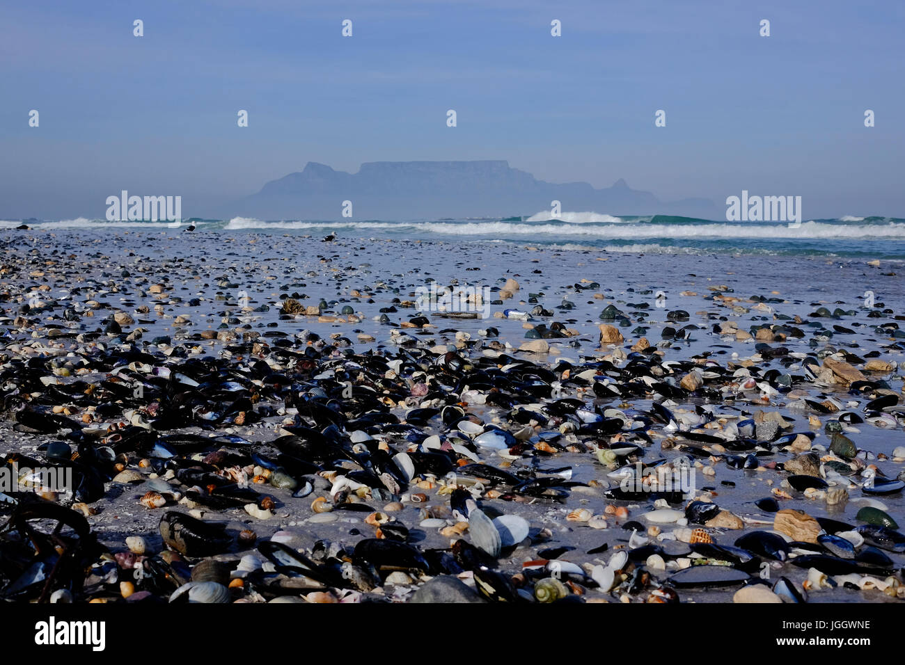 Cape Town,South Africa.  Smog covers the lower reaches of Table Mountain one of the seven natural wonders of nature. Mussel shells litter the beach. Stock Photo