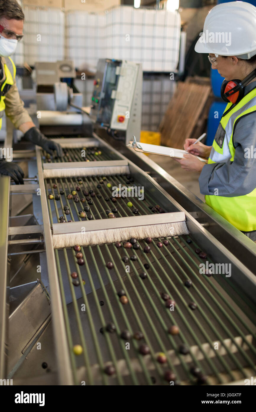 Technicians examining olives on conveyor belt in oil factory Stock Photo