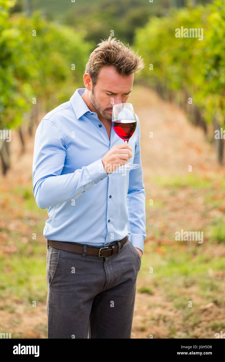Young man smelling red wine while standing at vineyard Stock Photo - Alamy