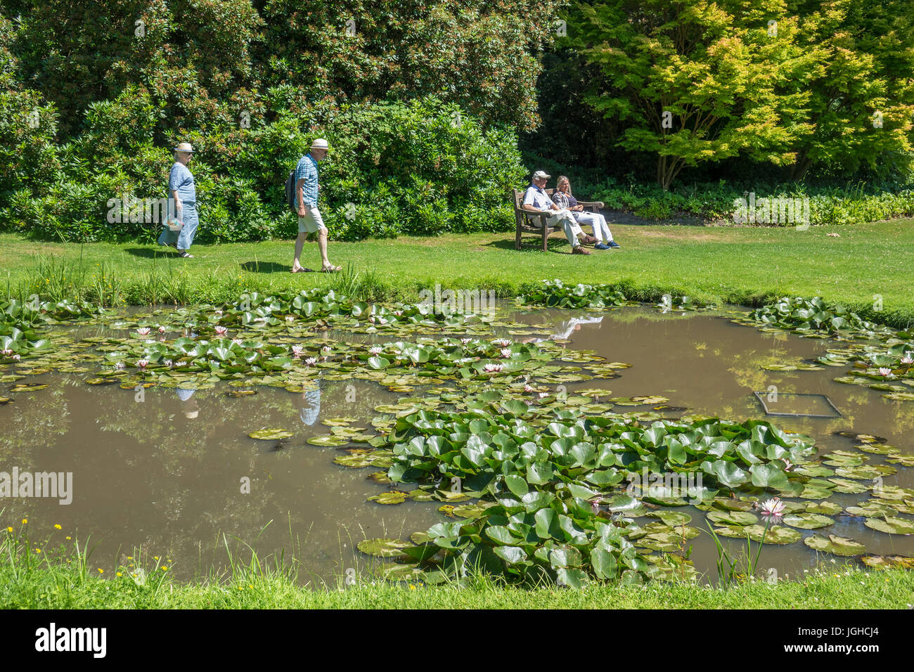England, Surrey, Savill gardens, The Glades Stock Photo Alamy