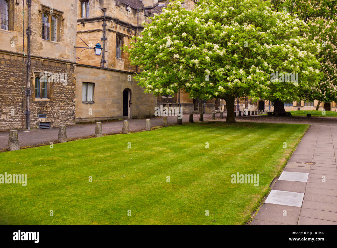 Universities of Oxford,Centre of Learning,Libraries,Gardens,Buildings,Accomodations,Coutyards,Oxford,Oxfordshire,UK Stock Photo