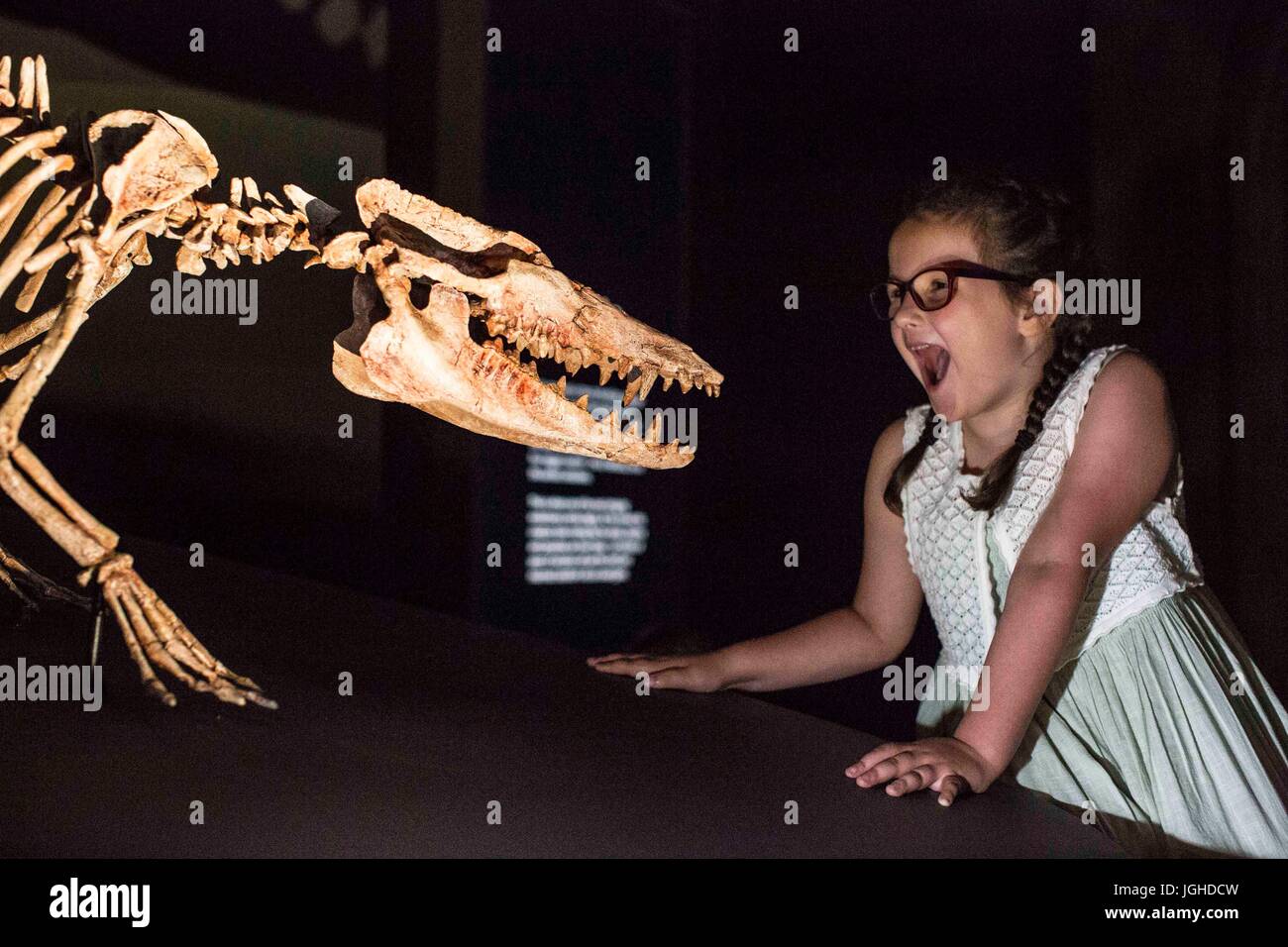 Bella Chamberlain, aged 6, takes a closer look at a Pakicetus skeleton cast. The feature is one of the many instalments at the Natural History Museum's new exhibition 'Whales: Beneath the Surface', which displays over 100 specimens of the museum's collection. Stock Photo