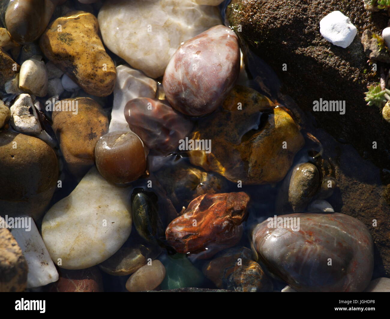 Pebbles in water Stock Photo Alamy