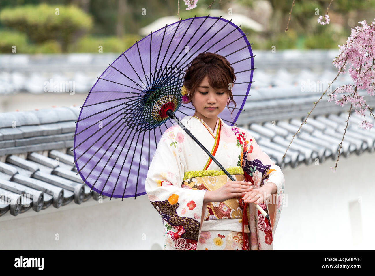 Mauve kimono hi-res stock photography and images - Alamy