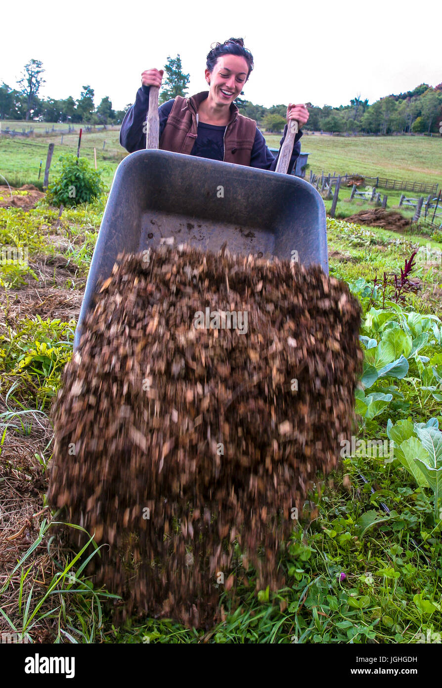 Young woman tipping wheelbarrow of mulch on farm, teamwork, 20's Stock Photo