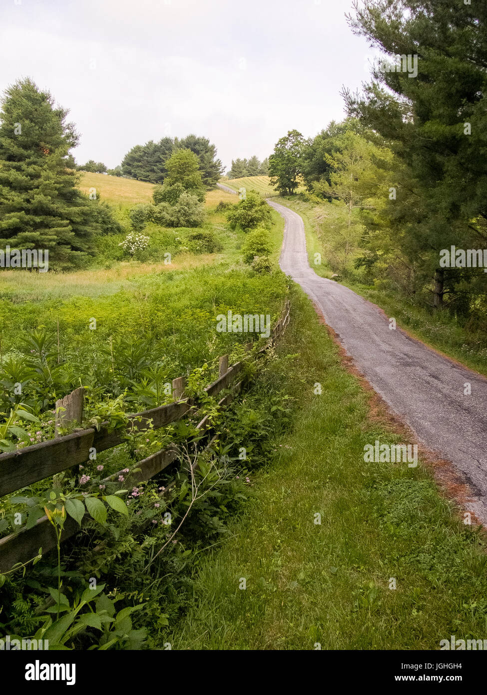Rural, country road, green grass and trees Stock Photo