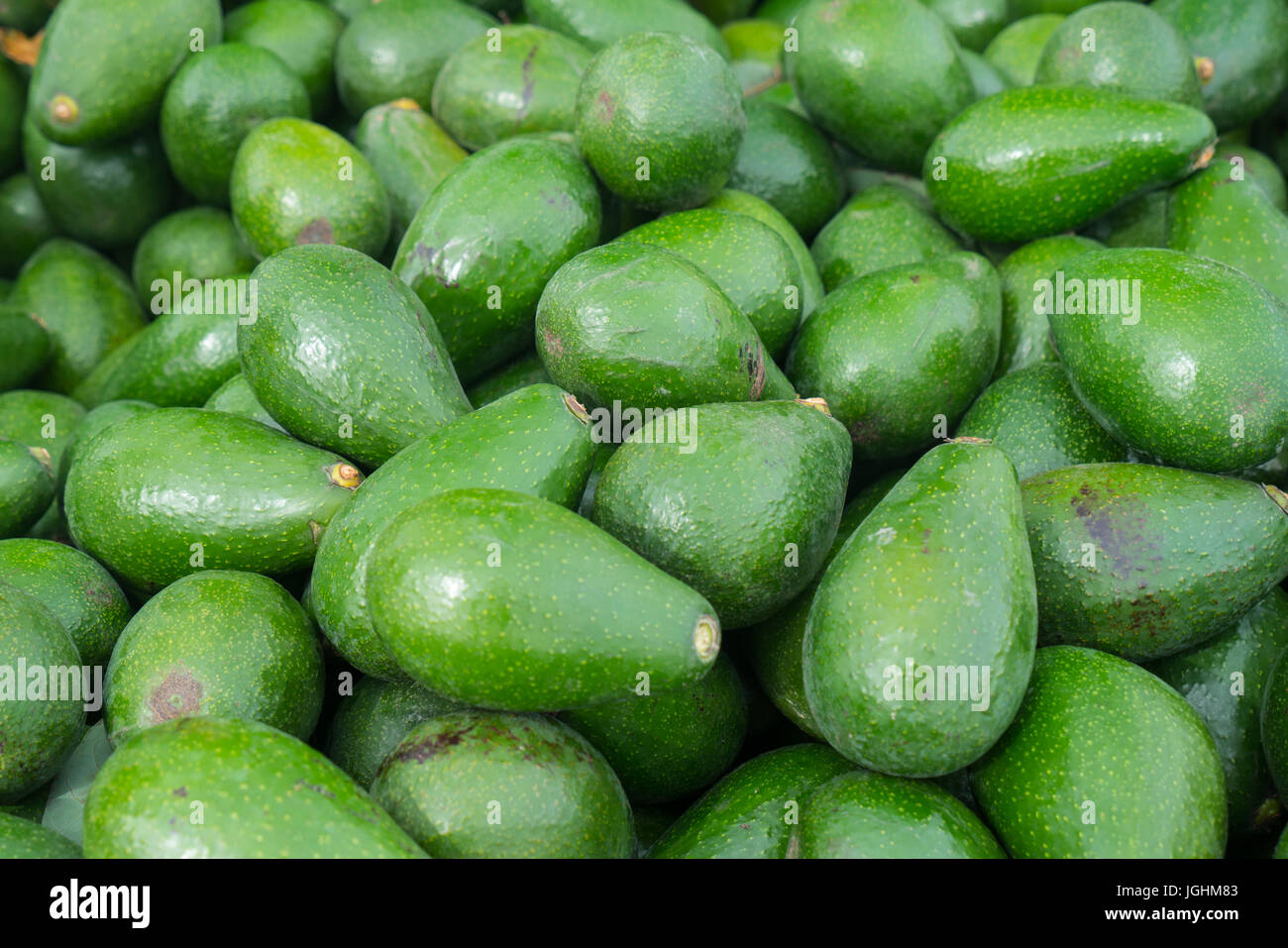 Fresh Avocados in a Produce Market Stock Photo