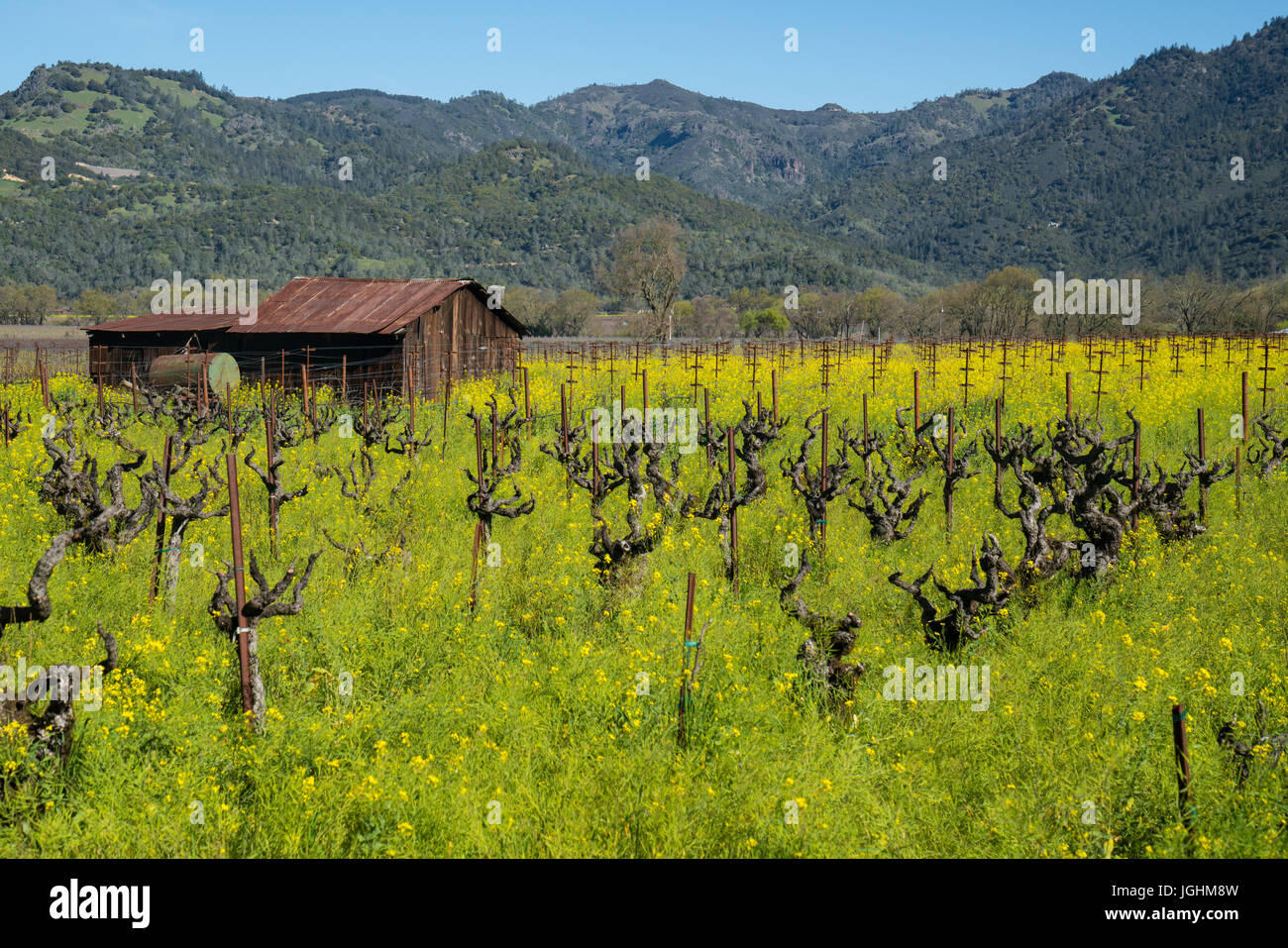 California napa valley agriculture hires stock photography and images