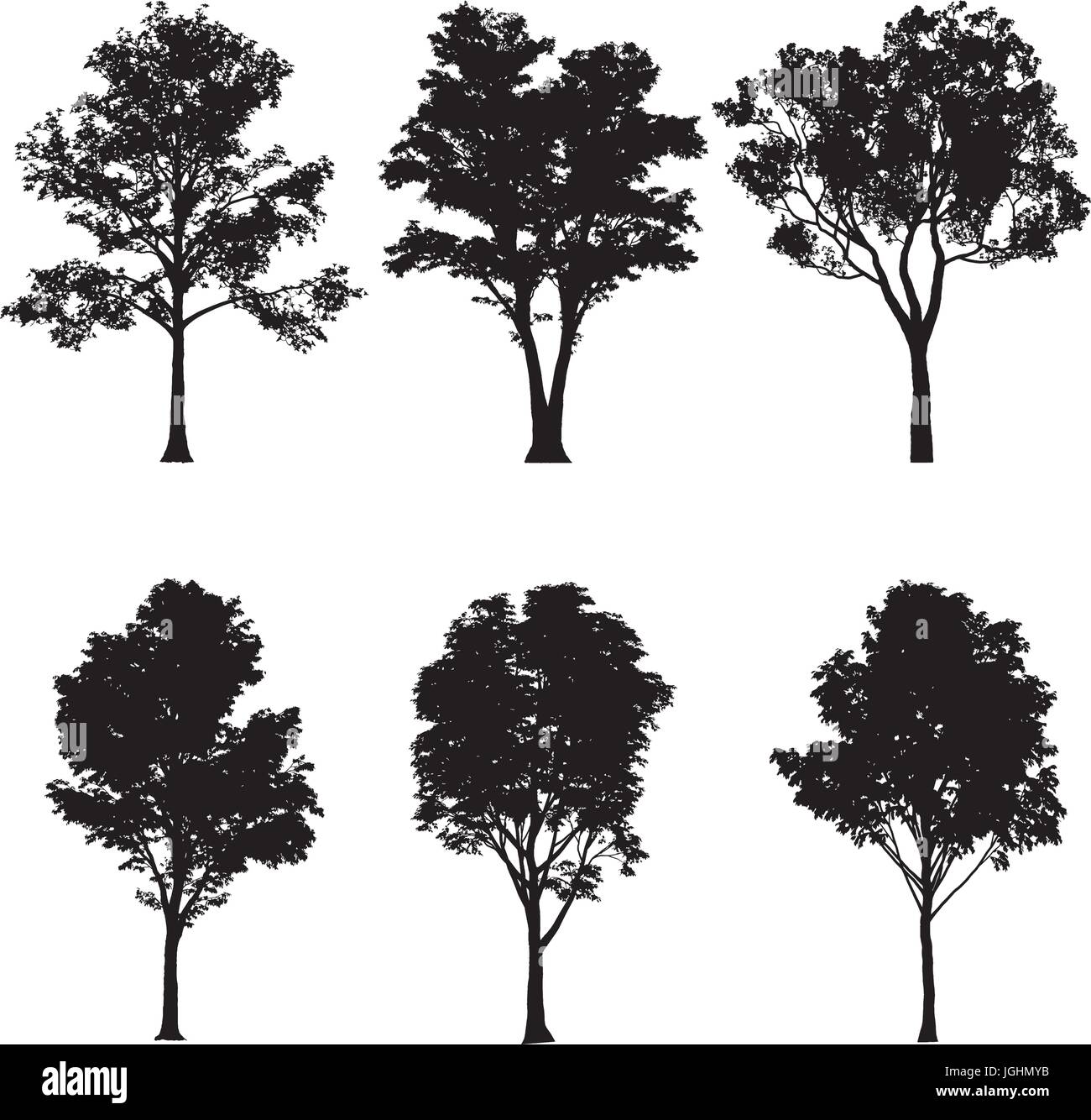 Vector illustration of tree silhouettes Stock Vector Image & Art - Alamy