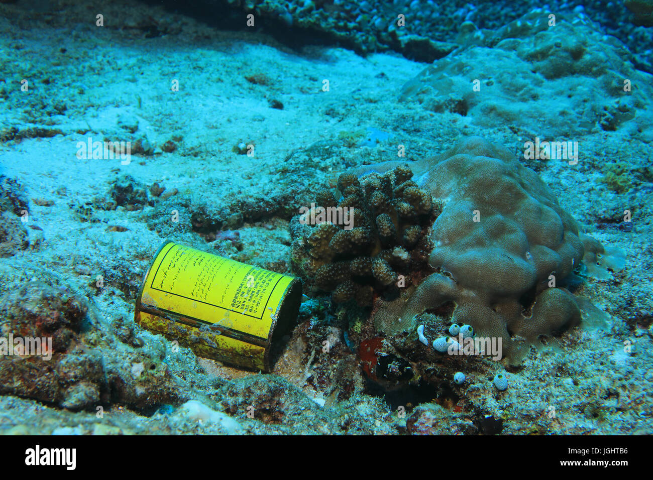 Underwater waste in the tropical reef of the indian ocean Stock Photo