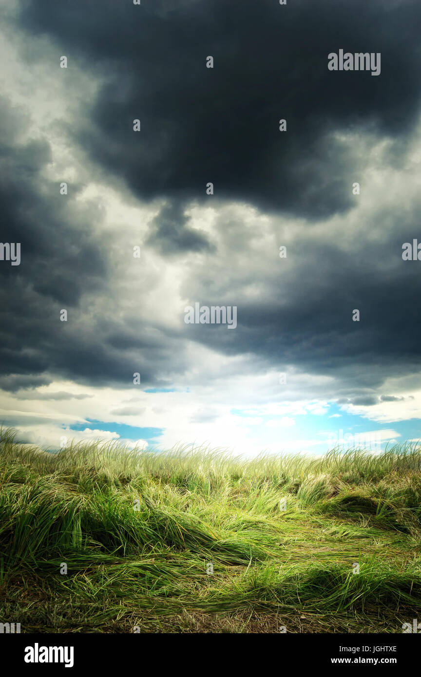dramatic storm clouds in summer landscape with grass blown by wind Stock Photo