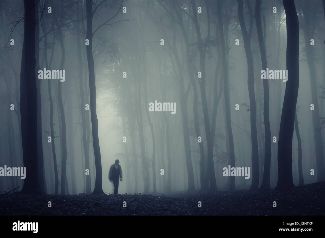 shadow in dark fantasy forest, scary halloween background Stock Photo