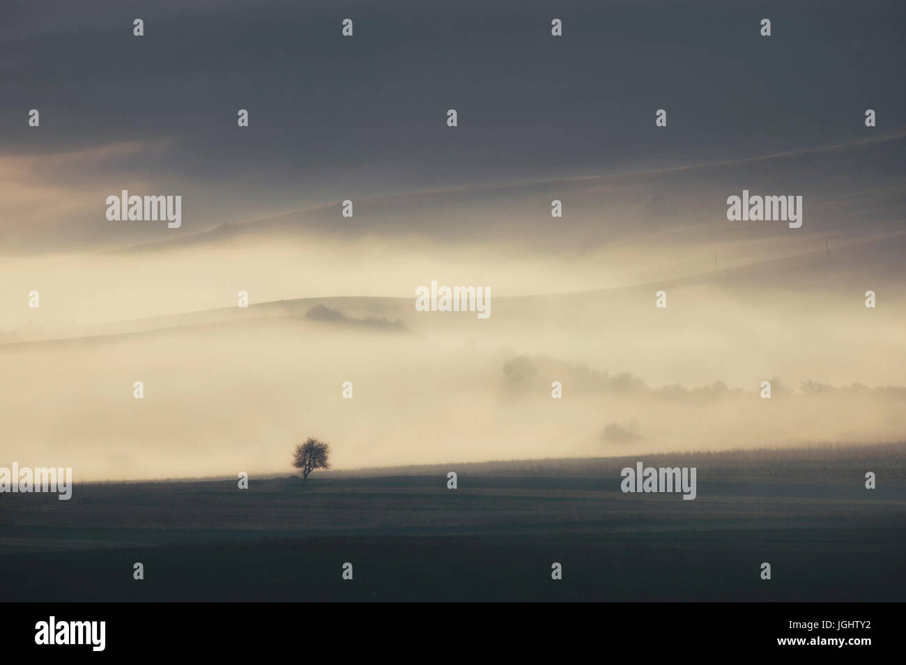 hills covered in fog in morning landscape Stock Photo