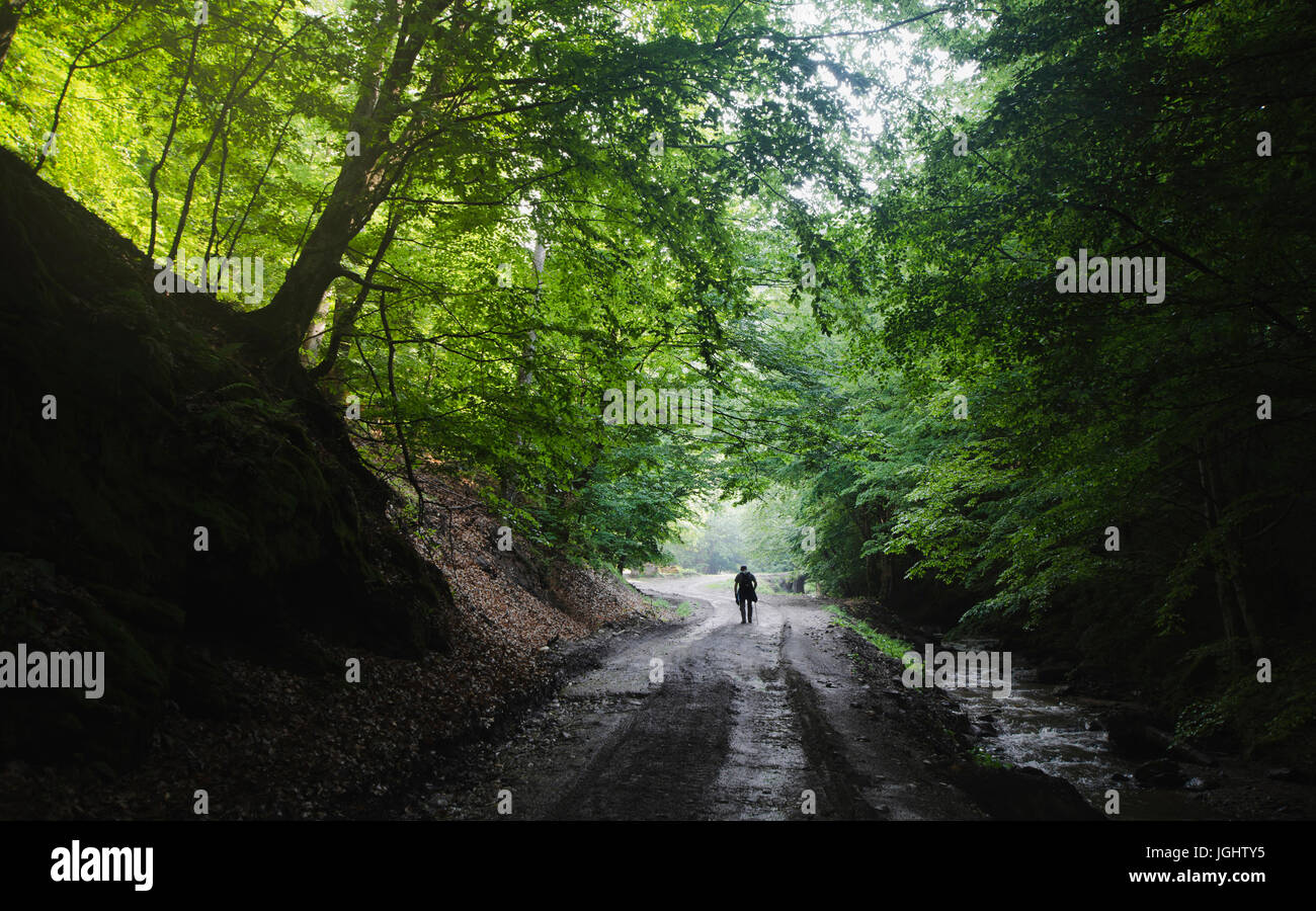 man walking on forest road in summer Stock Photo