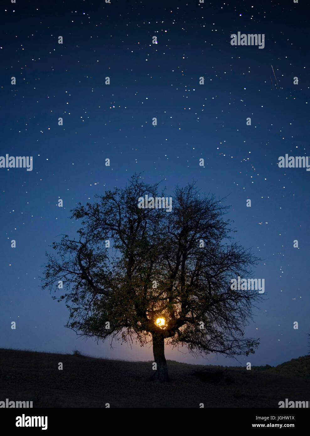 moon rise landscape with tree silhouette on hill against the starry night sky Stock Photo